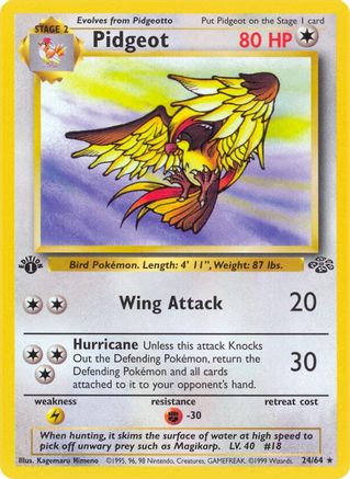 Jungle 024/64 Pidgeot (24) - 1st Edition - Rare