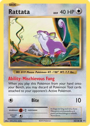 XY Evolutions 066/108 Rattata - Common