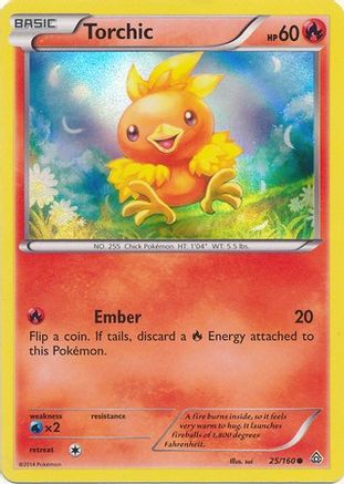 Miscellaneous Cards & Products 025/160 Torchic - Holofoil - Promo