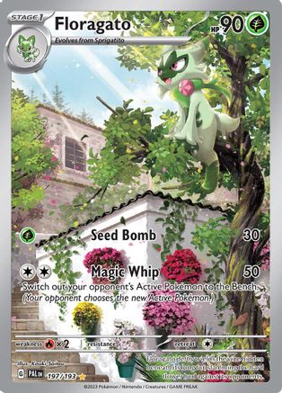SV02 Paldea Evolved 197/193 Floragato - Holofoil - Illustration Rare