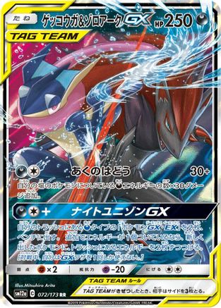 SM12a TAG TEAM GX Tag All Stars 072/173 Greninja & Zoroark GX - Holofoil - Double Rare