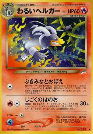 Darkness and to Light 229 Dark Houndoom - Holofoil - Holo Rare