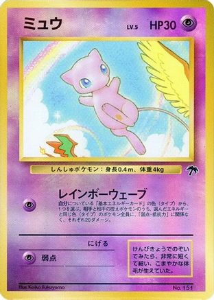 Southern Island Mew - Common