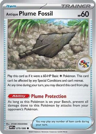 SV White Flare 079 Antique Plume Fossil - Common
