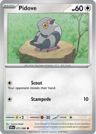 SV Black Bolt 071/086 Pidove - Common