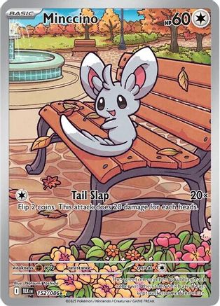 SV Black Bolt 152/086 Minccino - Holofoil - Illustration Rare