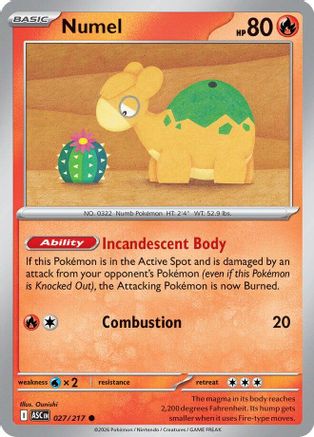 ME Ascended Heroes 027/217 Numel - Reverse Holofoil - Common
