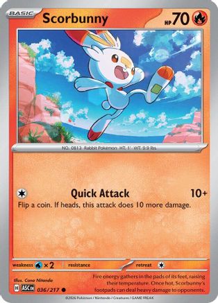 ME Ascended Heroes 036/217 Scorbunny - Reverse Holofoil - Common