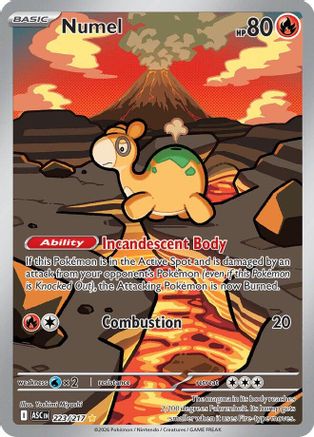ME Ascended Heroes 223/217 Numel - Holofoil - Illustration Rare