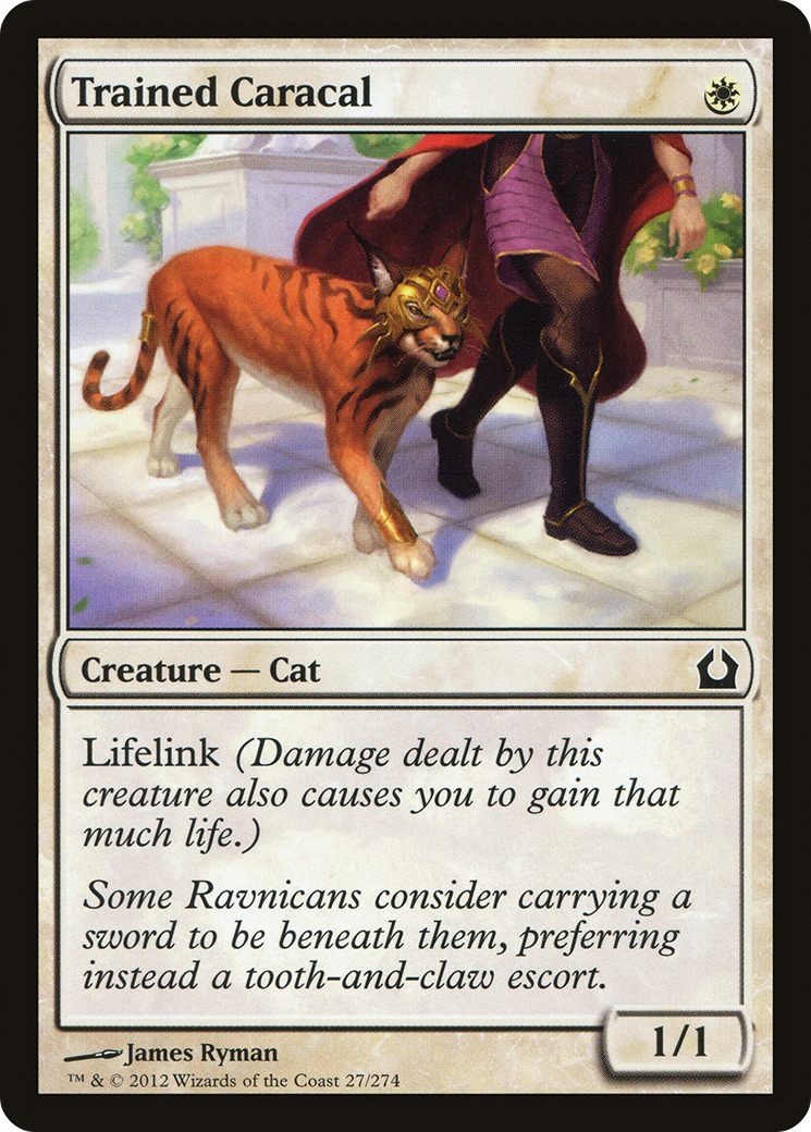 Return to Ravnica - (RTR-027) - Trained Caracal