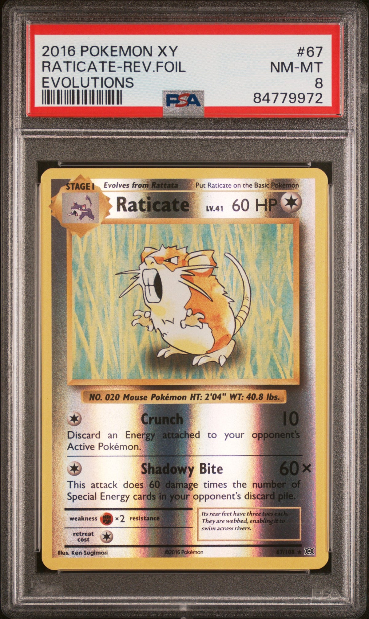 XY Evolutions 067/108 PSA8 #84779972 Raticate - Reverse Holofoil - Rare