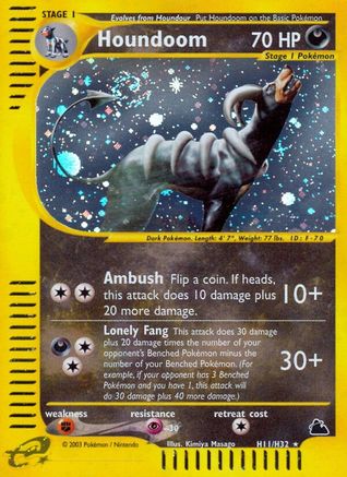 Skyridge H11 Houndoom (H11) - Holofoil - Holo Rare