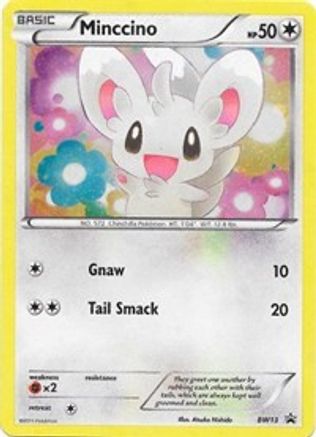 Black and White Promos BW13 Minccino - Holofoil - Promo