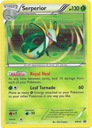 Black and White Promos BW20 Serperior - Holofoil - Promo