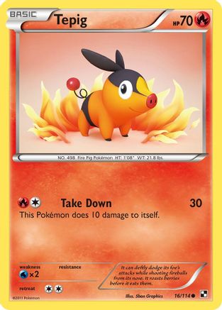 Black and White 016 Tepig (16) - Common