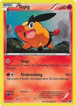 Black and White Promos BW07 Tepig - Holofoil - Promo