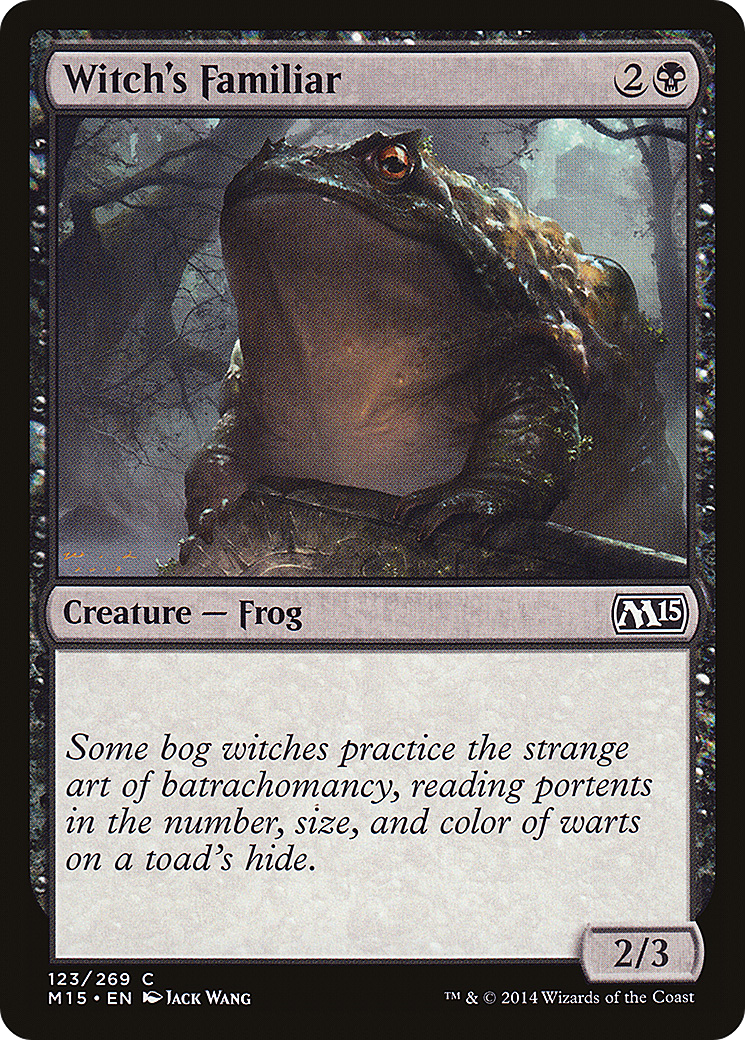 Magic 2015 - (M15-123) - Witch's Familiar Foil