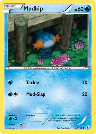XY Primal Clash 033/160 Mudkip - Common