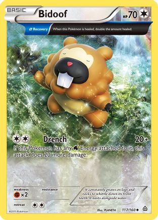 XY Primal Clash 117/160 Bidoof (Alpha) - Uncommon