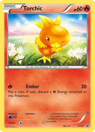 XY Promos XY37 Torchic - Holofoil - Promo