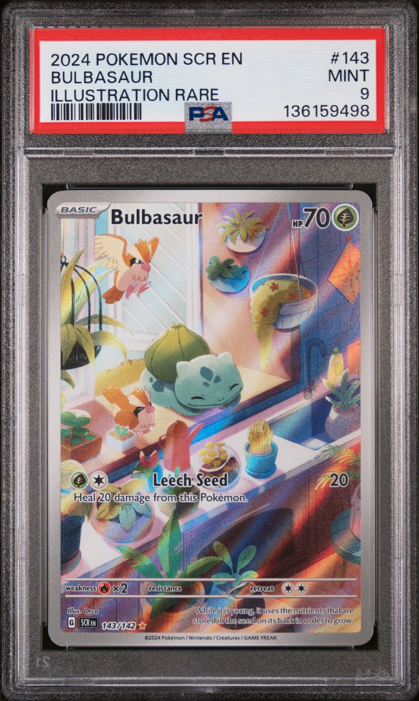 SV07 Stellar Crown 143/142 PSA 9 #136159498 Bulbasaur - Holofoil - Illustration Rare