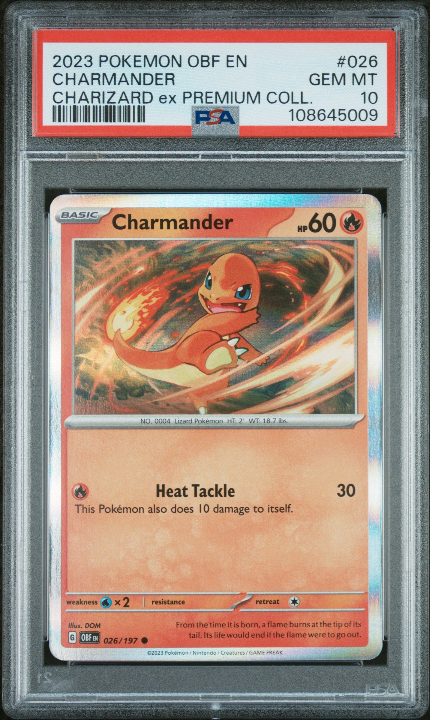 BUNDLE SV Scarlet & Violet Promo Cards 056 PSA10 #108645007 Charizard ex - Holofoil - Promo + 027 PSA10 #108645008 Charmeleon - Holofoil - Promo + 026 PSA10 #108645009 Charmander - Holofoil - Promo