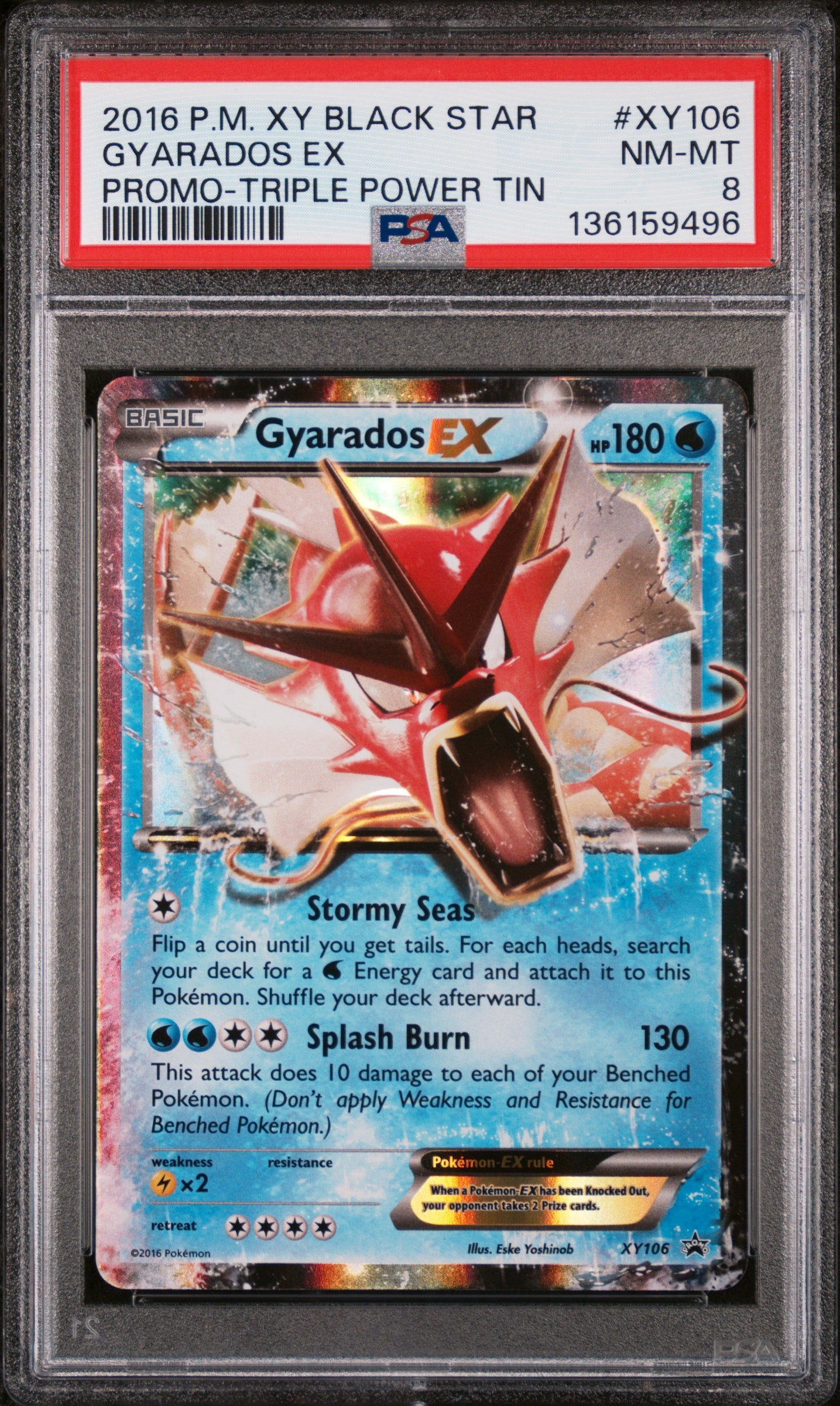 XY Promos XY106 PSA 8 #136159496 Gyarados EX - Holofoil - Promo