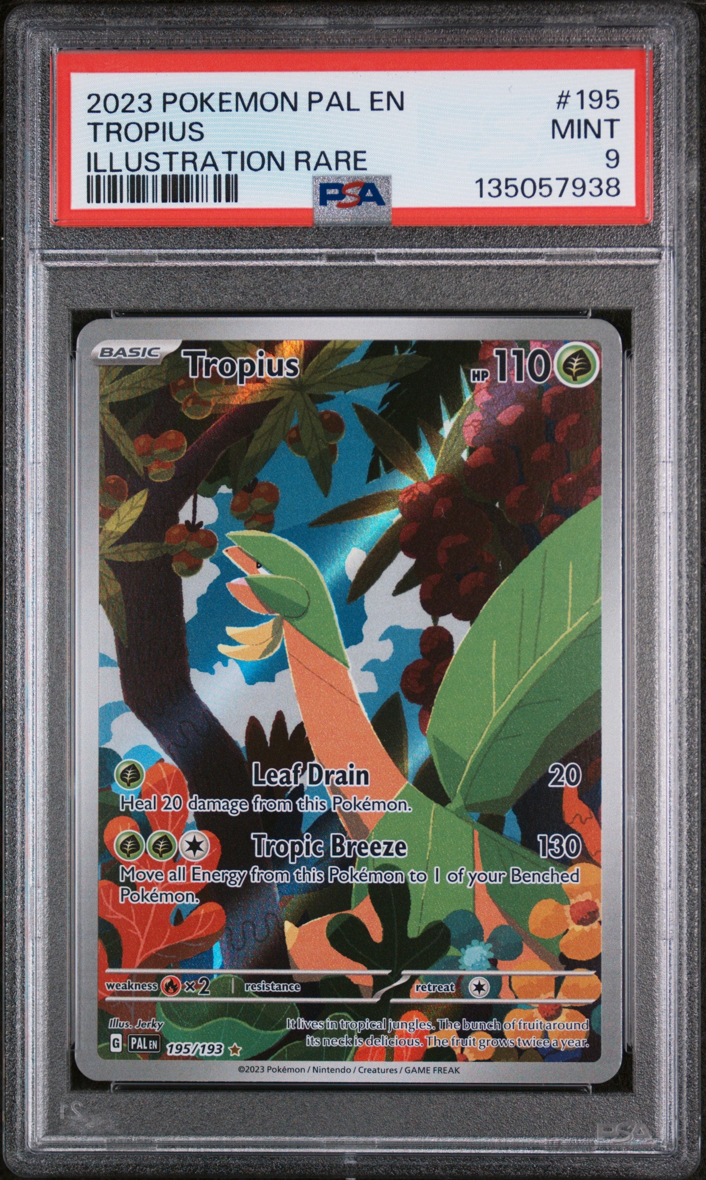 SV02 Paldea Evolved 195/193 PSA9 #135057938 Tropius - Holofoil - Illustration Rare