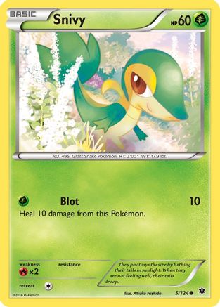 XY  Fates Collide  005/124 Snivy  - Reverse Holofoil - Common