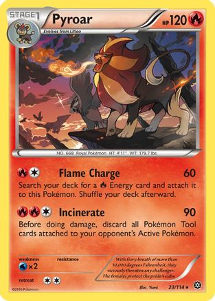 XY  Steam Siege  023/114 Pyroar  - Rare