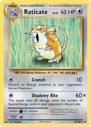 XY  Evolutions  067/108 Raticate  - Reverse Holofoil - Rare