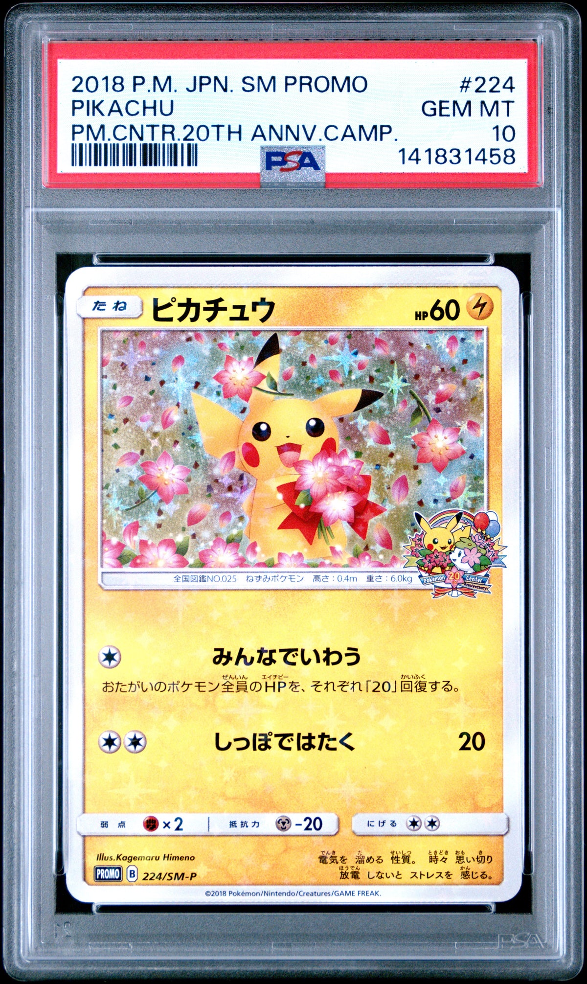 SMP Sun & Moon Promos  224/SM-P PSA10 #141831458 Pikachu