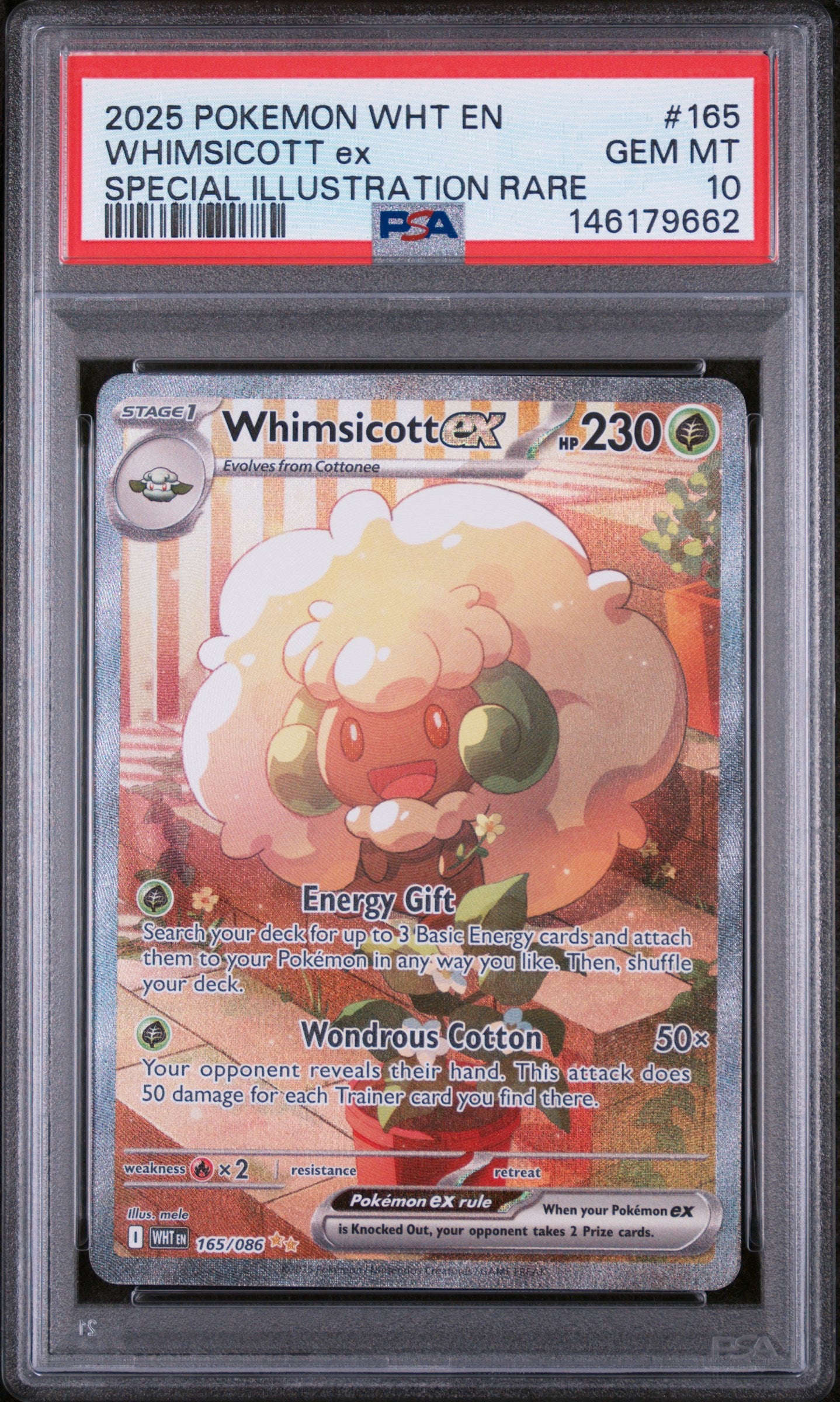 SV White Flare  165/086 PSA10 #146179662 Whimsicott ex  - Holofoil - Special Illustration Rare