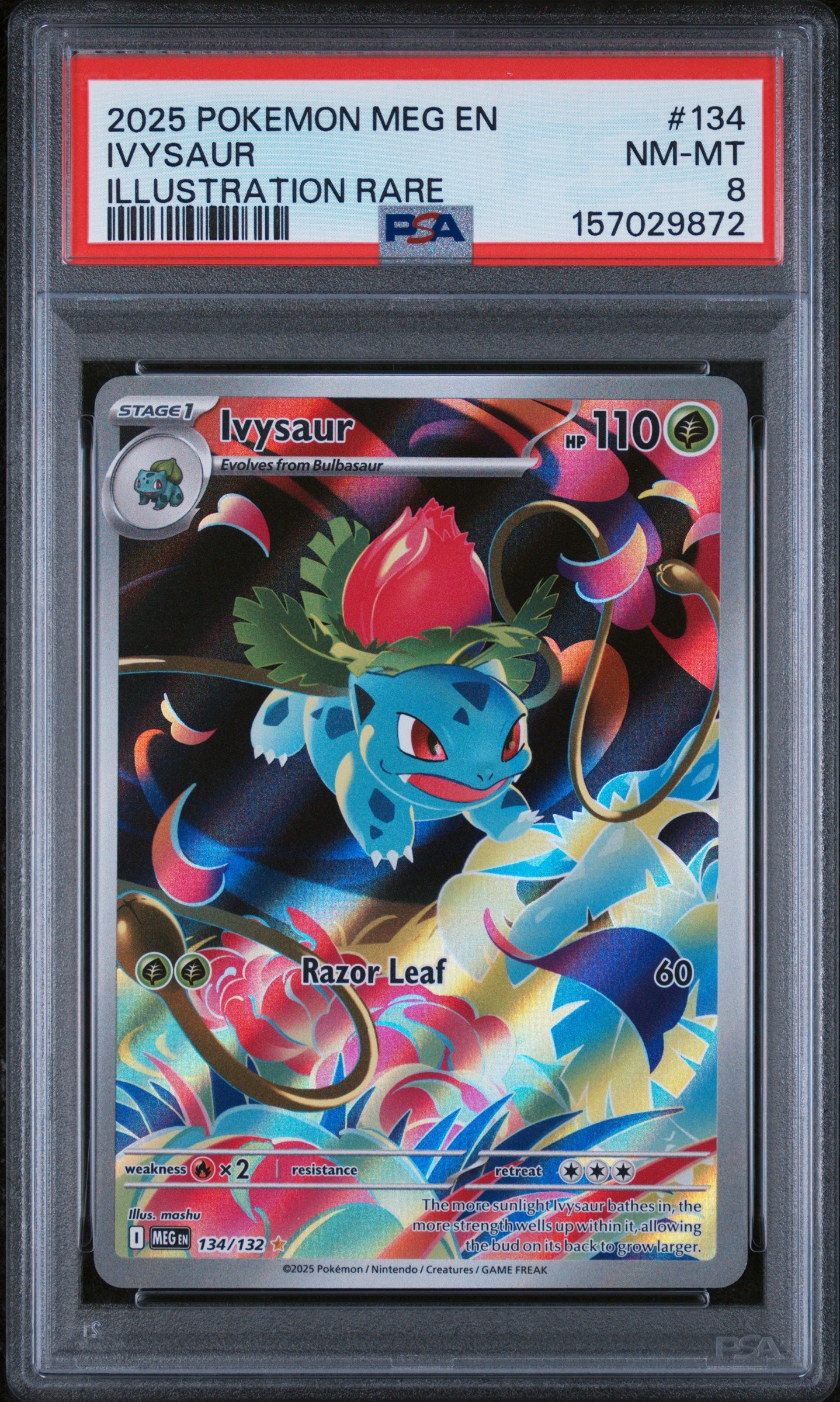 ME01 Mega Evolution  134/132 PSA8 #157029872 Ivysaur  - Holofoil - Illustration Rare