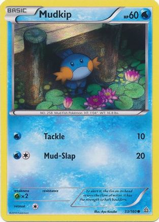 Miscellaneous Cards & Products  033/160 Mudkip  - Holofoil - Promo