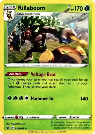 Miscellaneous Cards & Products  014/202 Rillaboom  - Holofoil - Promo