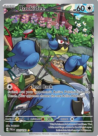 SV02 Paldea Evolved  225/193 Rookidee  - Holofoil - Illustration Rare