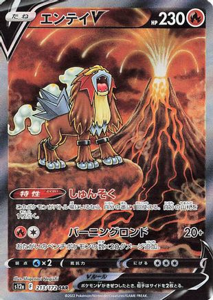 S12a VSTAR Universe  213/172 Entei V  - Holofoil - Special Art Rare