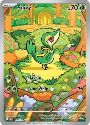 SV Black Bolt  087/086 Snivy  - Holofoil - Illustration Rare