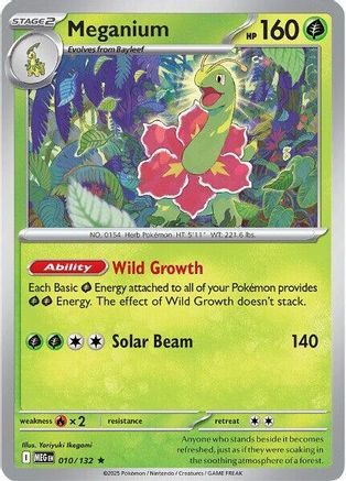 ME01 Mega Evolution  010/132 Meganium  - Holofoil - Rare