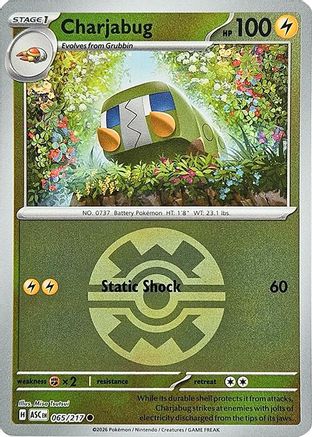 ME Ascended Heroes  065 Charjabug (Quick Ball)  - Reverse Holofoil - Common