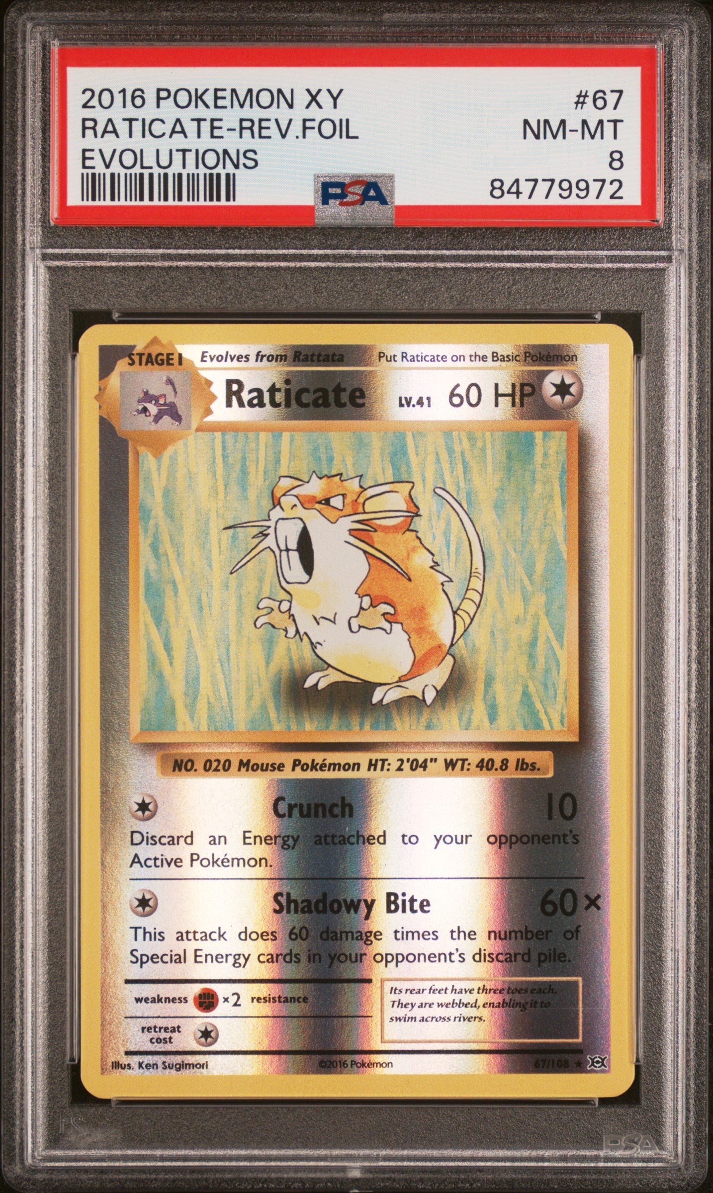 XY  Evolutions  067/108 PSA8 #84779972 Raticate  - Reverse Holofoil - Rare