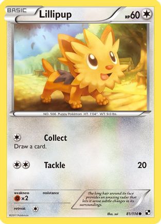 Black and White  081 Lillipup (81)  - Reverse Holofoil - Common