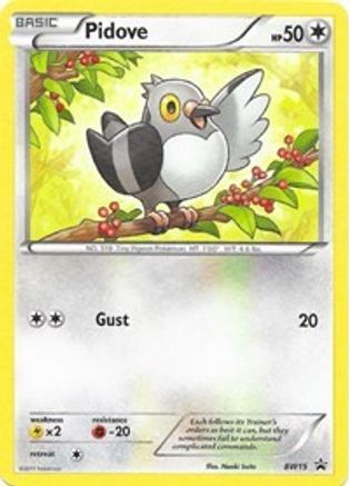 Black and White Promos  BW15 Pidove  - Rare