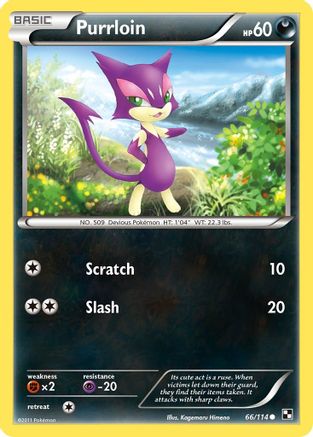 Black and White  066 Purrloin  - Common