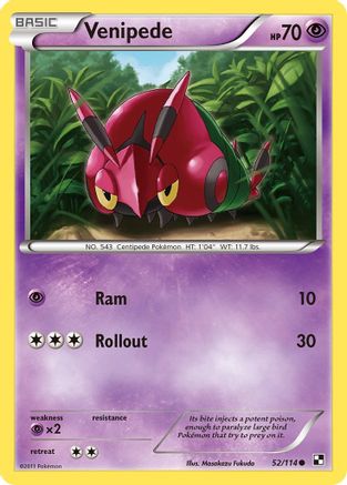 Black and White  052 Venipede  - Reverse Holofoil - Common