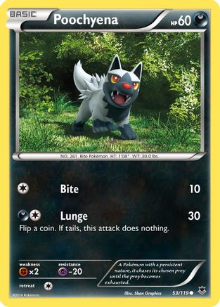 XY  Phantom Forces  053 Poochyena  - Reverse Holofoil - Common