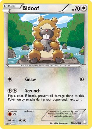 XY  Primal Clash  116/160 Bidoof  - Common