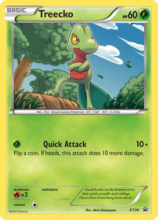 XY Promos  XY36 Treecko  - Holofoil - Promo