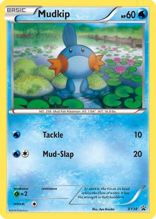 XY Promos  XY38 Mudkip  - Holofoil - Promo